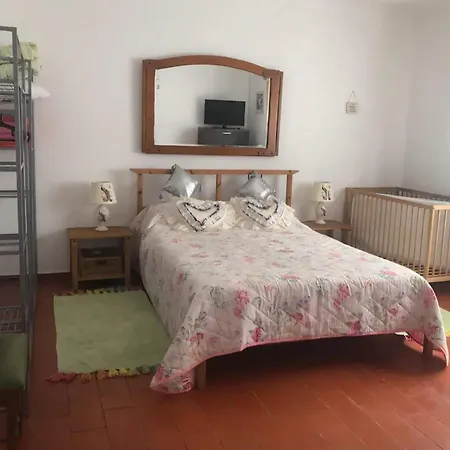 Homestay szállás The Lemon Tree House