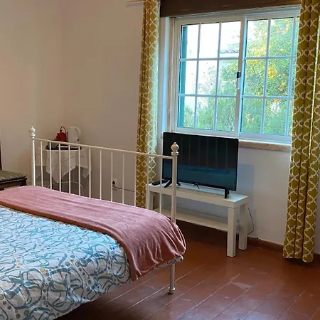 The Lemon Tree House Privat bolig