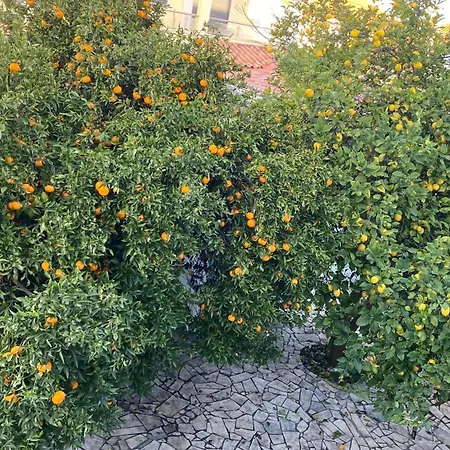 Alloggio in famiglia The Lemon Tree House Quinta do Conde