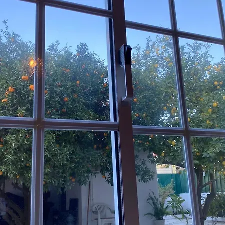 Homestay The Lemon Tree House *
