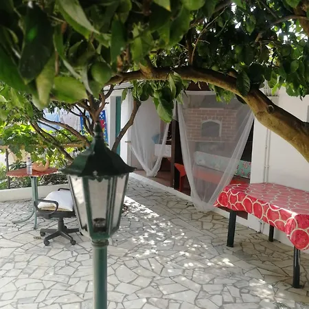 Alloggio in famiglia The Lemon Tree House *