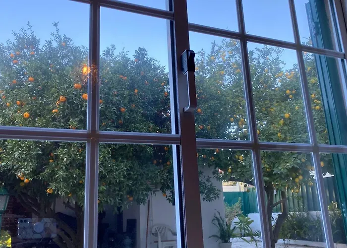 Homestay The Lemon Tree House *
